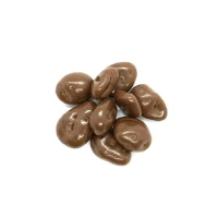 Cranberries con chocolate